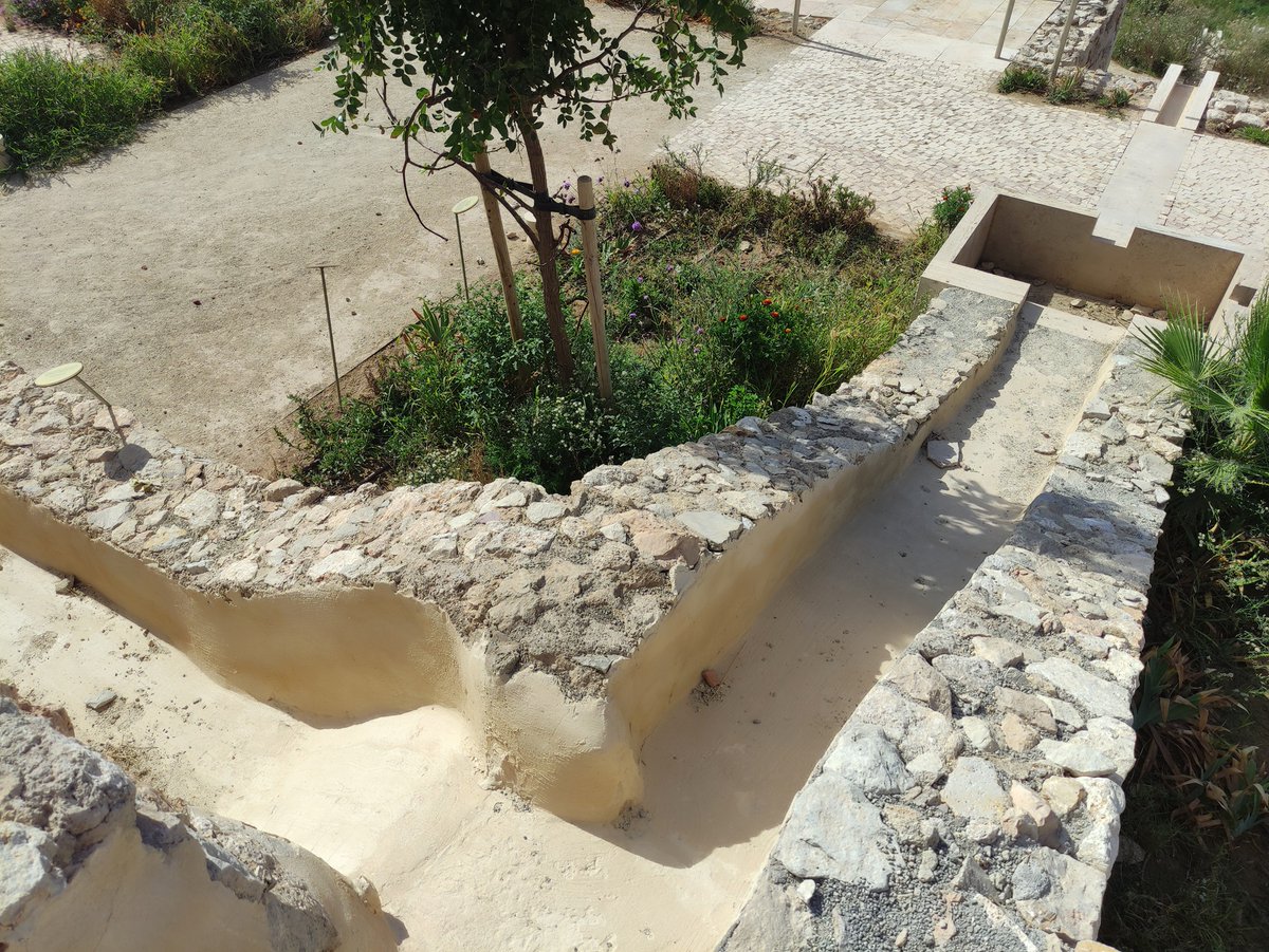 JOSÉ M ROMÁN tweet media