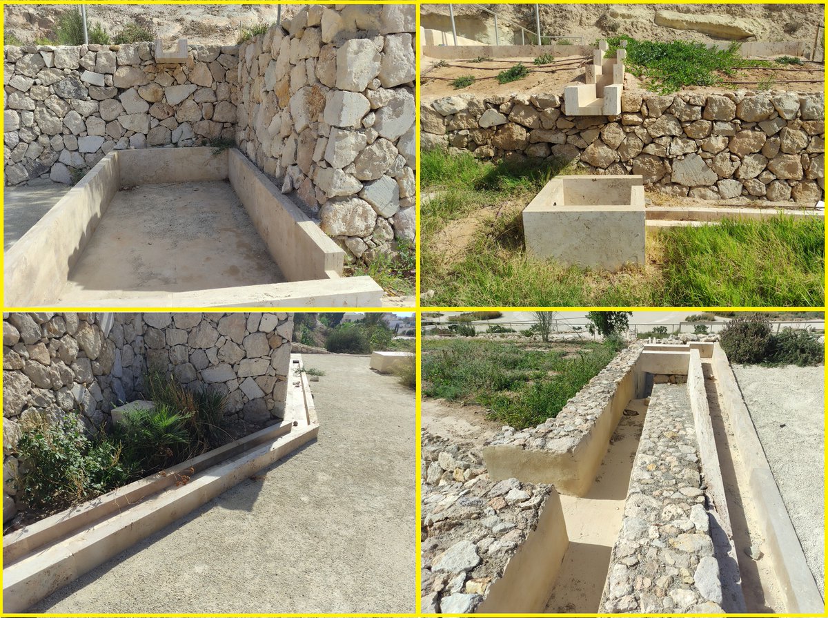 JOSÉ M ROMÁN tweet media