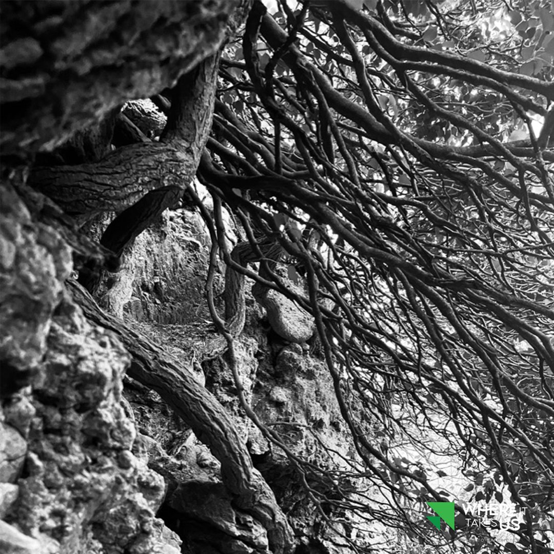 Where It Takes Us (@where_it_takes) on Twitter photo A selection of photos taken on our walks across the UK. Follow us on YouTube <a href="/whereittakesus/">LORD VOLDEMORT</a>.uk (zurl.co/HqhZ) to watch our video-guided walk around the South West and UK. #walking #video #localhistroy #landscape A selection of photos taken on our walks across the UK. Follow us on YouTube <a href="/whereittakesus/">LORD VOLDEMORT</a>.uk (zurl.co/HqhZ) to watch our video-guided walk around the South West and UK. #walking #video #localhistroy #landscape