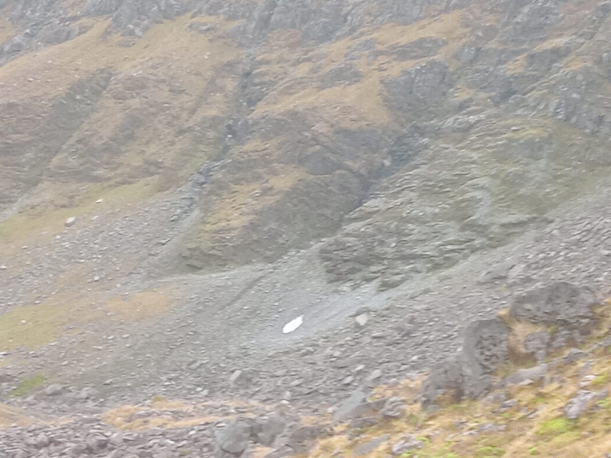 Iain Cameron tweet media