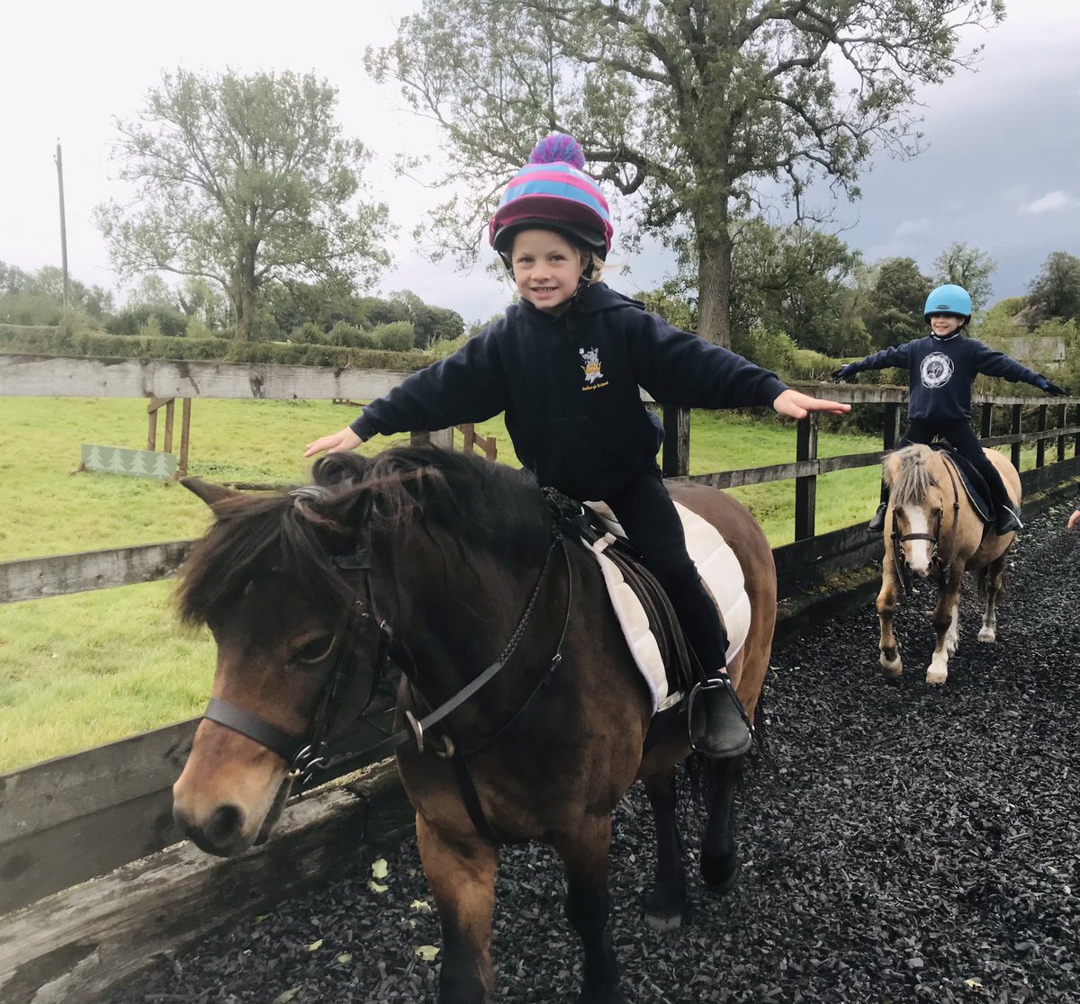 Sedbergh Prep Riding tweet media