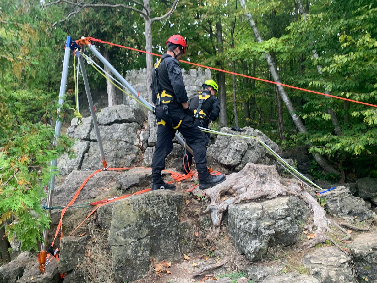 Tait Mitchell tweet media