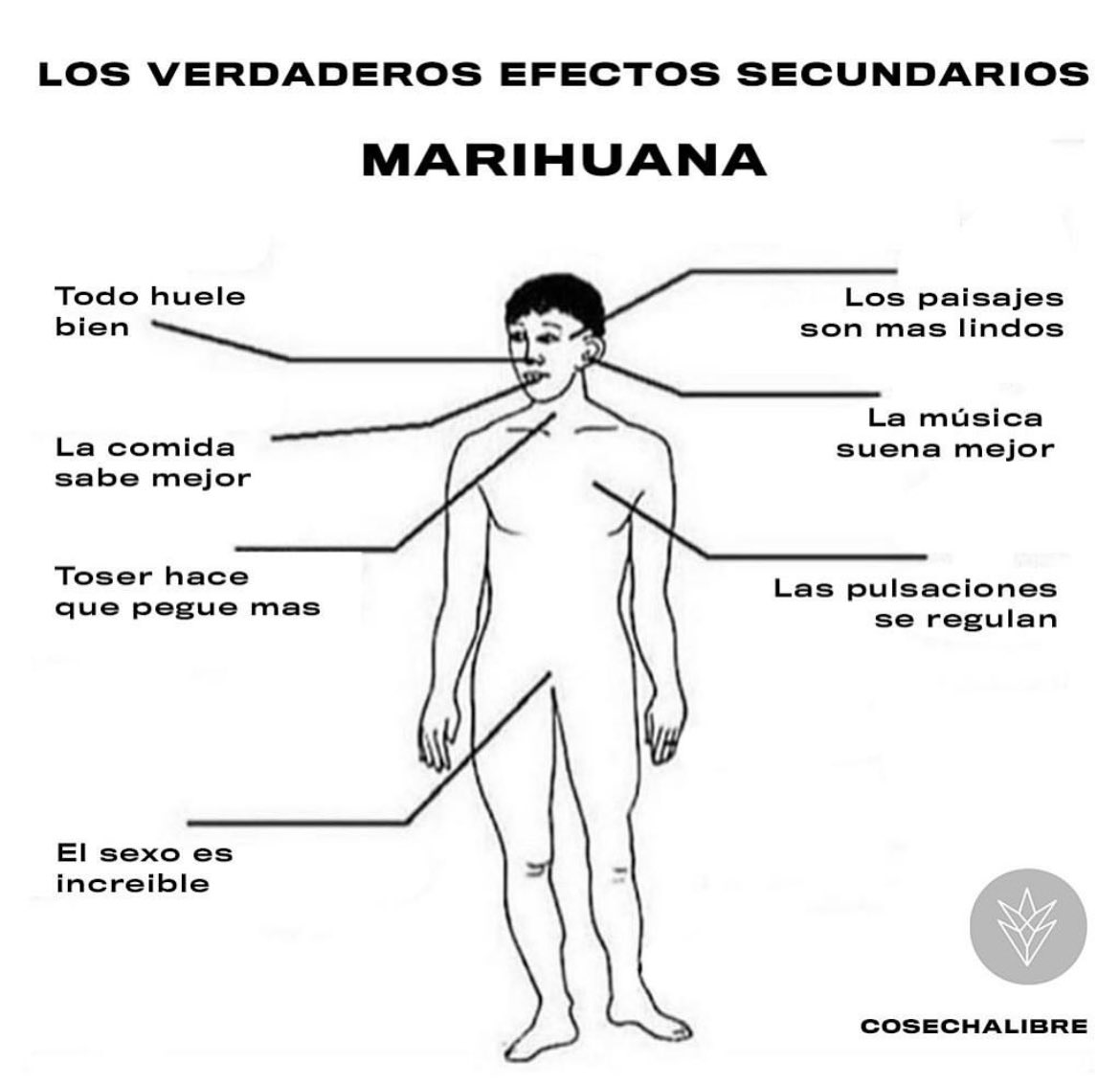 Que más se les ocurre?