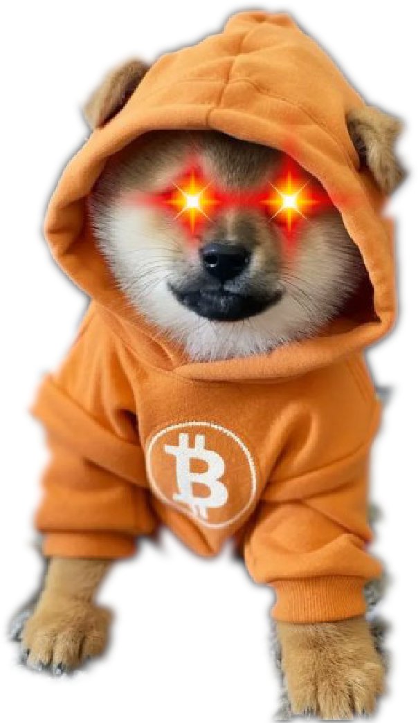 stoneyfrg's tweet photo. Who needs $DOG listing on a centralized exchange when weโve got the real decentralized power of #Bitcoin?
Keep your corporate shit, weโre feasting on freedom
#Freedom #DEX #Descentralized @LeonidasNFT @Dave_LFG @und3rdog @PIPSLLC1 @Lina_CryptoA @MajinBulk @jakegallen https://t.co/GHLGeds95i