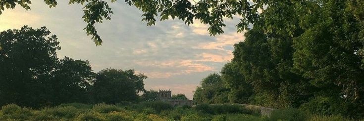 aesthetics_40's tweet image. 