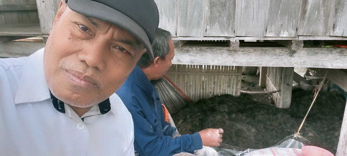 Rokit_66's tweet photo. Senin (12/08/2024) ROKIT SP Luhkan Kab Sinjai mendampingi panen rumput laut jenis gracilaria SP di Desa Panaikang Kec Sinjai Timur An Charul Sane produksi 755 kg  harga Rp 3.500
#GiatLuhkanSatminkalMaros 
#Panen
#Luhlapor https://t.co/BzHbMkxxA9