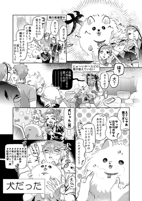 これはオクタと犬(本当に犬) 