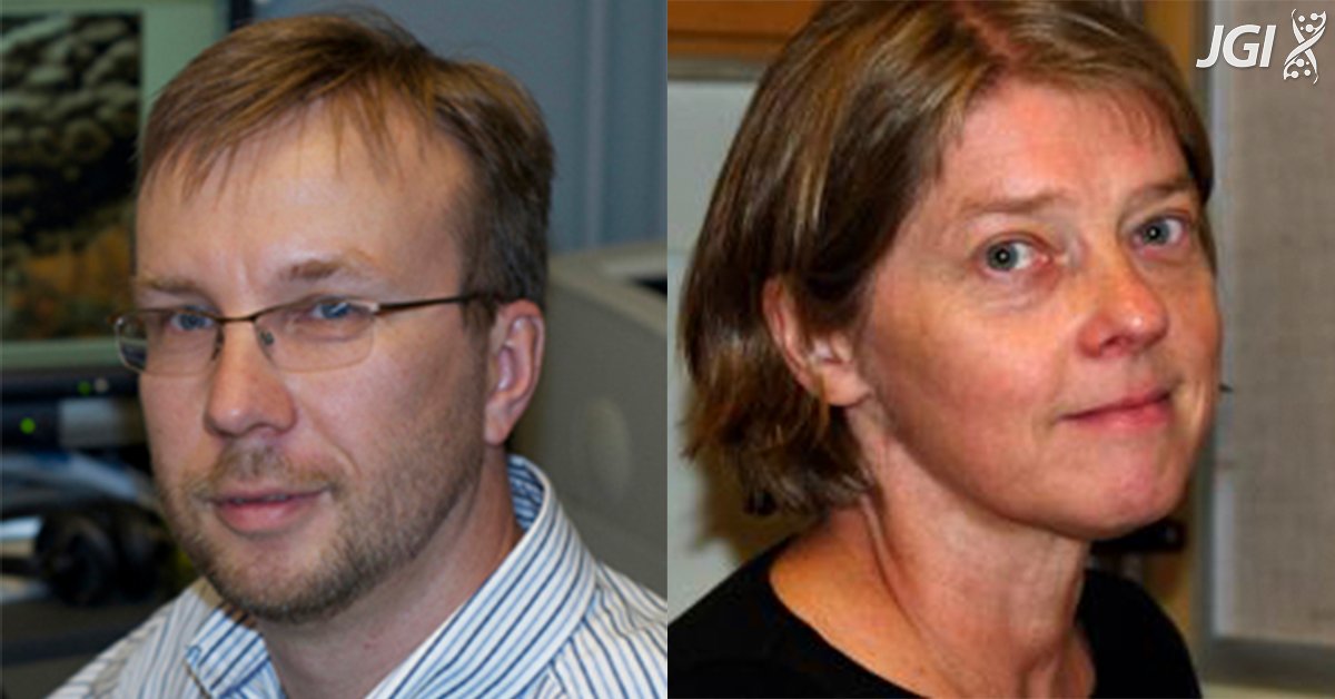 Joint Genome Institute (@jgi) on Twitter photo HAPPENING NOW: JGI Fungal Genomics Program Lead Igor Grigoriev and Teresa Pawlowska of <a href="/CornellCALS/">Cornell CALS</a> are kicking of Session 3 at #JGI2024 — From Spores to Shores: Genomic Tales of Fungi and Algae
AGENDA: jointgeno.me/JGI2024Agenda HAPPENING NOW: JGI Fungal Genomics Program Lead Igor Grigoriev and Teresa Pawlowska of <a href="/CornellCALS/">Cornell CALS</a> are kicking of Session 3 at #JGI2024 — From Spores to Shores: Genomic Tales of Fungi and Algae
AGENDA: jointgeno.me/JGI2024Agenda