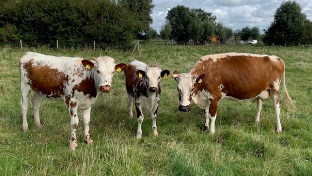 Natuur onder de loep -  streekbladzoetermeer.nl/l/155955