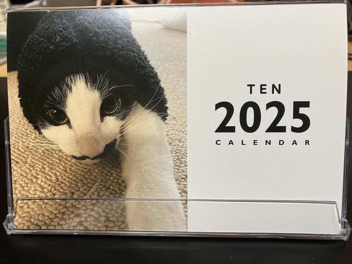 てんちゃんが家に来て一周年なので記念にカレンダーを作りました。