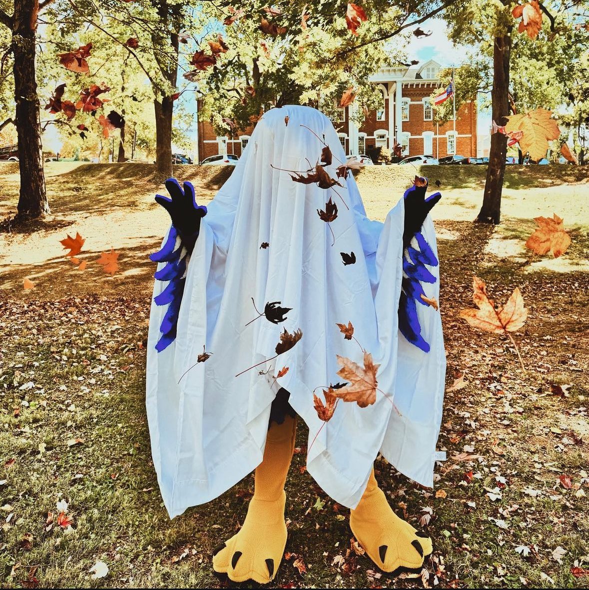 Nigel the Nighthawk tweet media