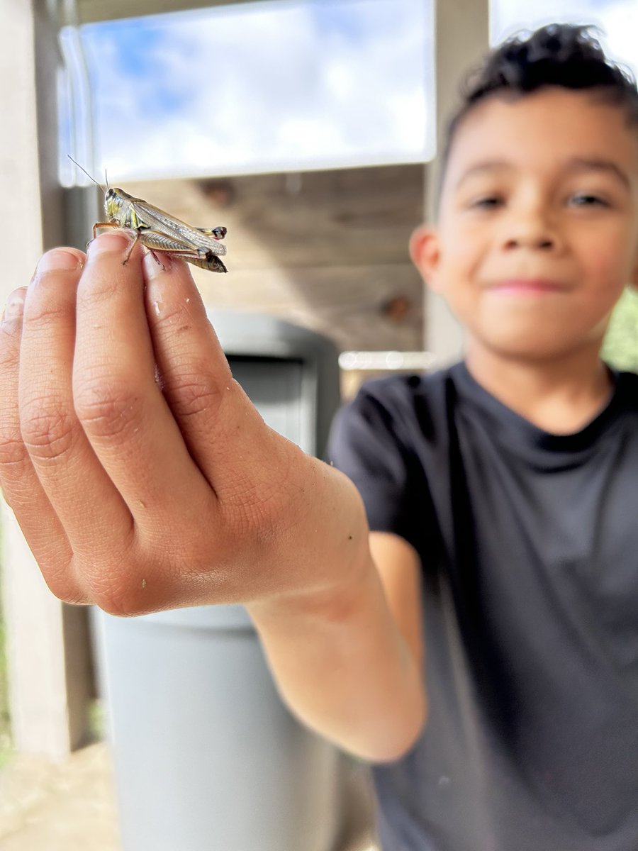 𝙼𝚒𝚜𝚜 𝚂𝚘𝚞𝚝𝚑𝚠𝚊𝚛𝚍 tweet media