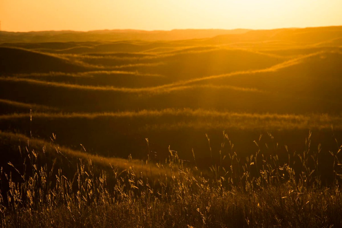 Institute of Agriculture and Natural Resources tweet media