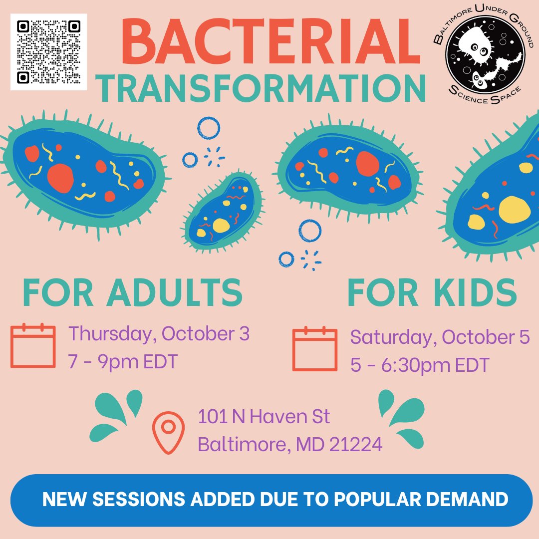 BUGSSlab's tweet photo. No experience necessary! Stop by the BUGSS lab this week for our adult and kids classes on Bacterial Transformation. Learn to use bacteria for genetic engineering! https://t.co/pAvhdfNEom π¦
#BUGSS #STEM #Biotech #BiotechRevolution #Business #science #biology #STEMeducation https://t.co/xCmPdZrh0F