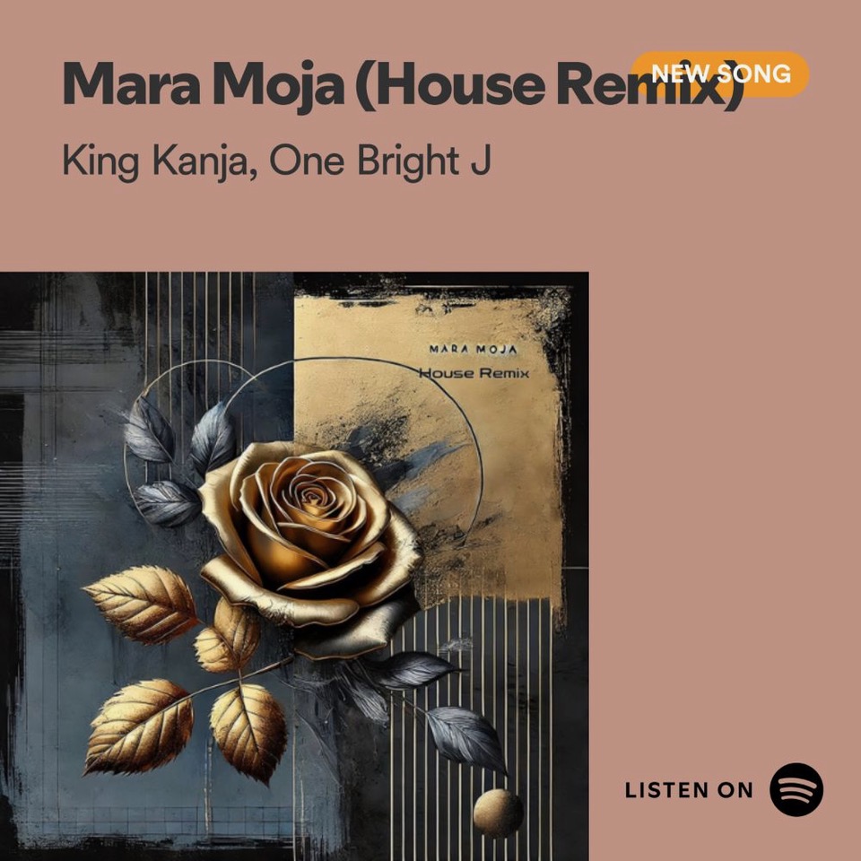 New music drop alert 🚨 This vibe hits different 🔥

#maramojahouseremix #newmusic #housevibes