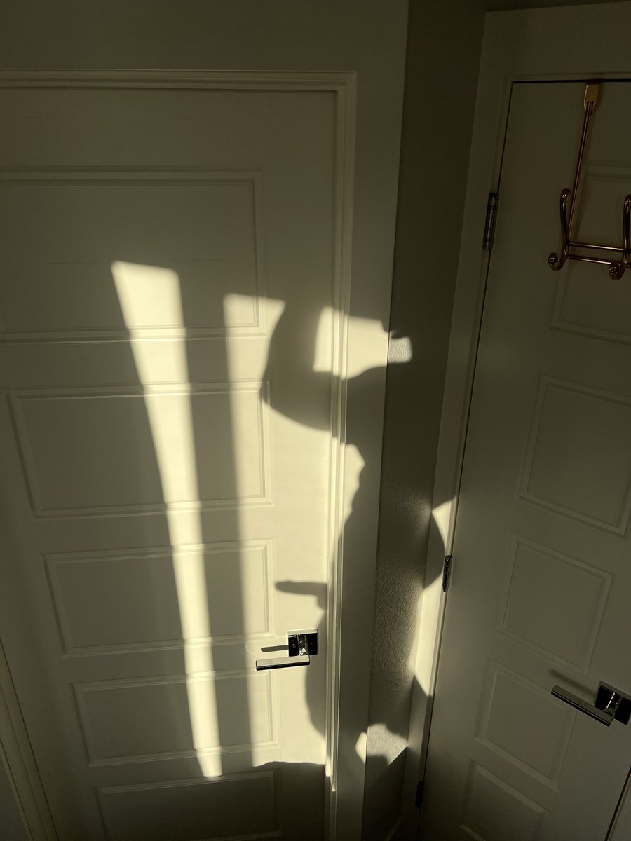 Dmitry (@mxmvdm) on Twitter photo 