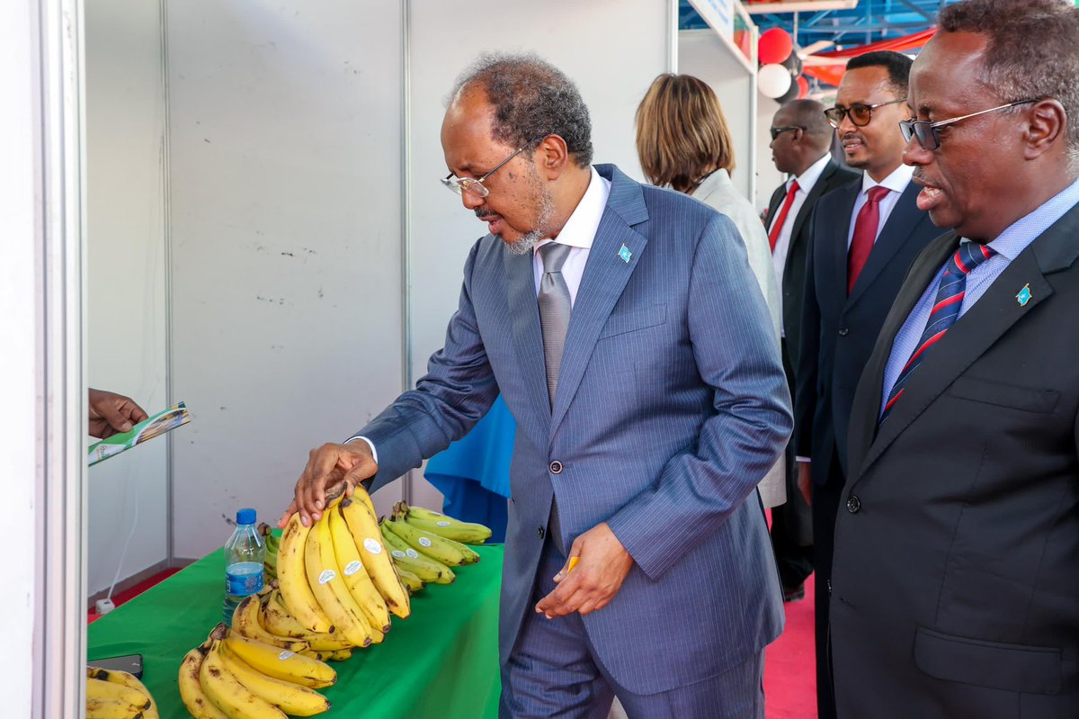 TheVillaSomalia's tweet photo. H.E. President Hassan Sheikh Mohamud opened the First International Conference on Agri-Value Chain Investment, emphasizing the tremendous opportunities within Somalia's agricultural sector. The President underscored that Somalia is strategically positioned for growth and is ready to welcome global partnerships that will drive prosperity.

“Somalia is open for business, and our agricultural sector is ripe for investment. With over 3,300 km of coastline and a strategic location on major global shipping routes, we offer unparalleled access to international markets. Our young, dynamic population, with over 70% under the age of 30, is eager to embrace innovation. Together, we can transform this potential into prosperity, benefiting both our nation and the world,” President Hassan Sheikh stated.

The President further highlighted Somalia's commitment to improving agricultural infrastructure, promoting private sector engagement, and fostering innovation across the entire value chain. He invited investors to be part of Somalia's agricultural revolution, emphasizing the country's fertile lands, diverse climate, and potential for crops such as sesame, bananas, and mangoes.