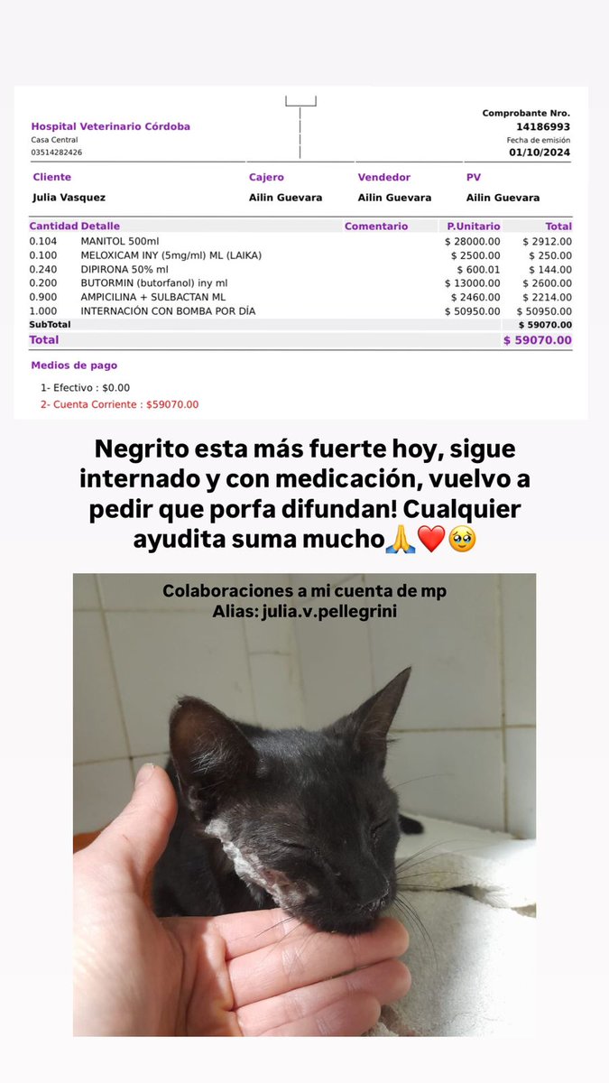 batiquelas's tweet photo. Buenassss si pueden ayudar con un RT 🤩🤩🤩 así le damos una chance a negrito 🥲 https://t.co/LIQULNeVds