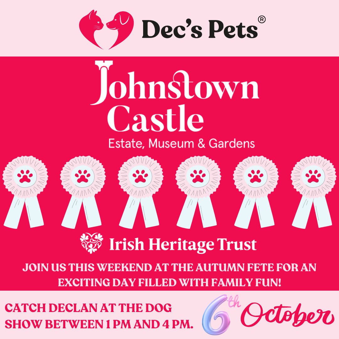 Decspets.ie tweet media