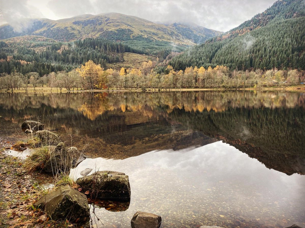 lomondtrossachs's tweet photo. The leaves turning marks the end of another visitor season. Thank you to everyone who booked a permit and camped responsibly in the National Park, helping us manage the impact on the landscape. Now, who's ready to enjoy all those glorious autumn colours 🍂 https://t.co/DMUBDVooWp https://t.co/YKPsQIzhVB