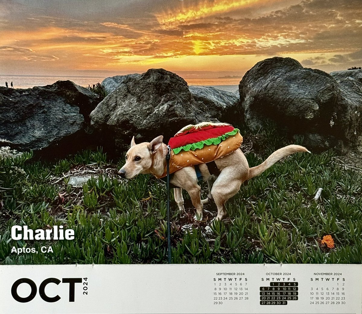 Wojtek Kubarek tweet media