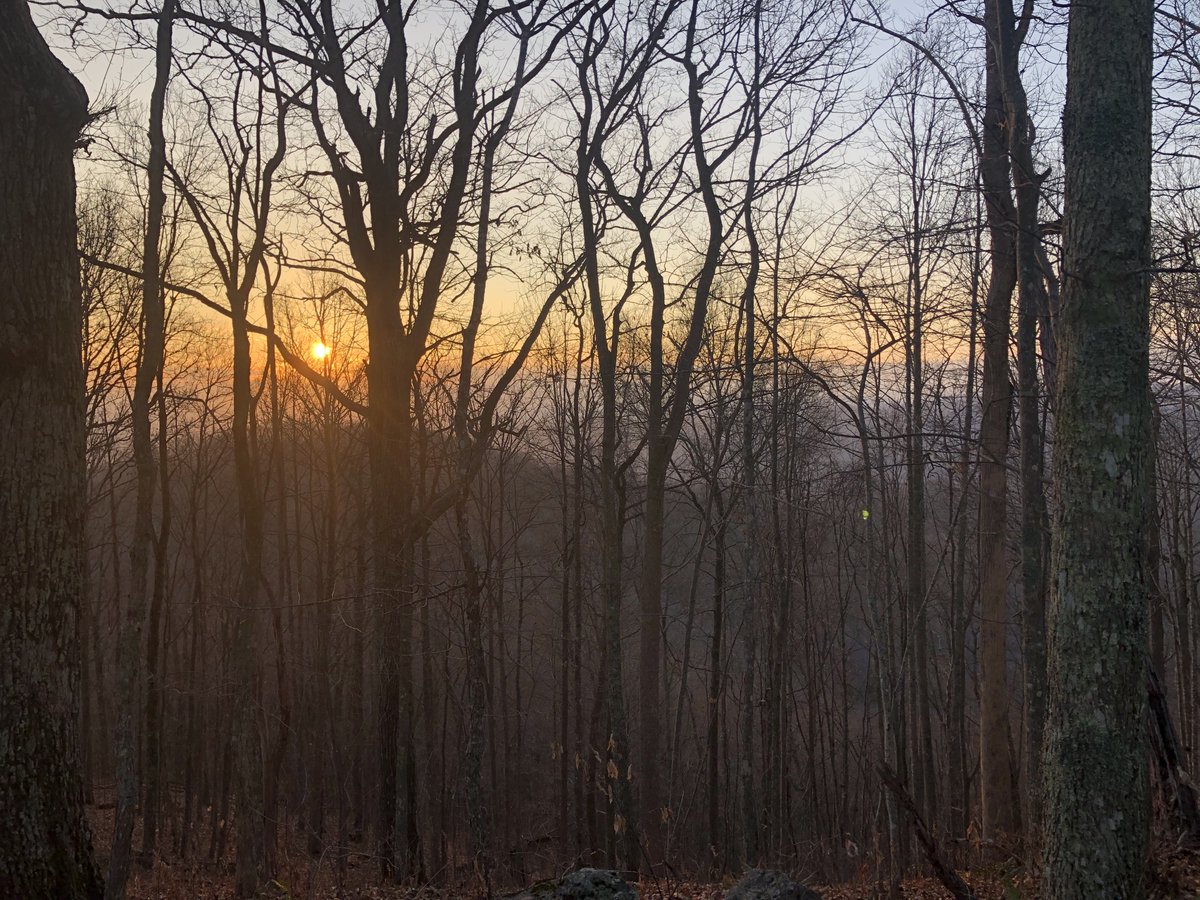 Ellie Bolas tweet media