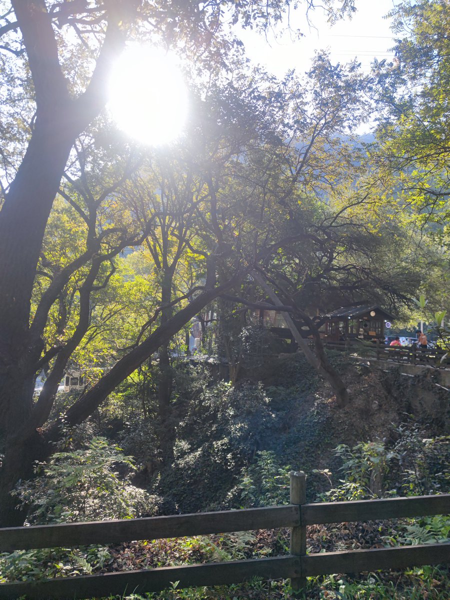 Amigos, Música y Paz.