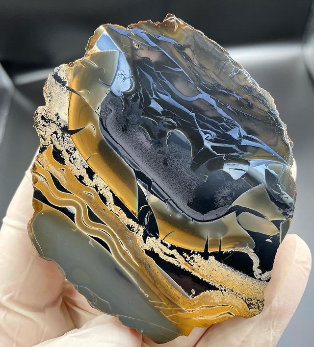 GeologyTime's tweet photo. One of North America’s most elusive jaspers

Fryite Jasper.

Photo: Plateau Lapidary https://t.co/Fo4A0RIQPy