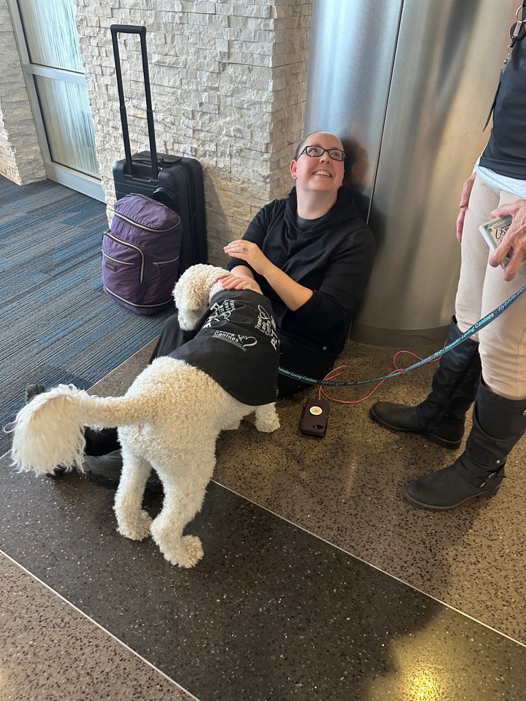 BHMAirport's tweet photo. Need a little extra pawsitivity before your flight? Our TLC therapy dogs are here to put a smile on your face! 🐾 #TLCTuesday #FlyBHM https://t.co/xz6tV0UI5J