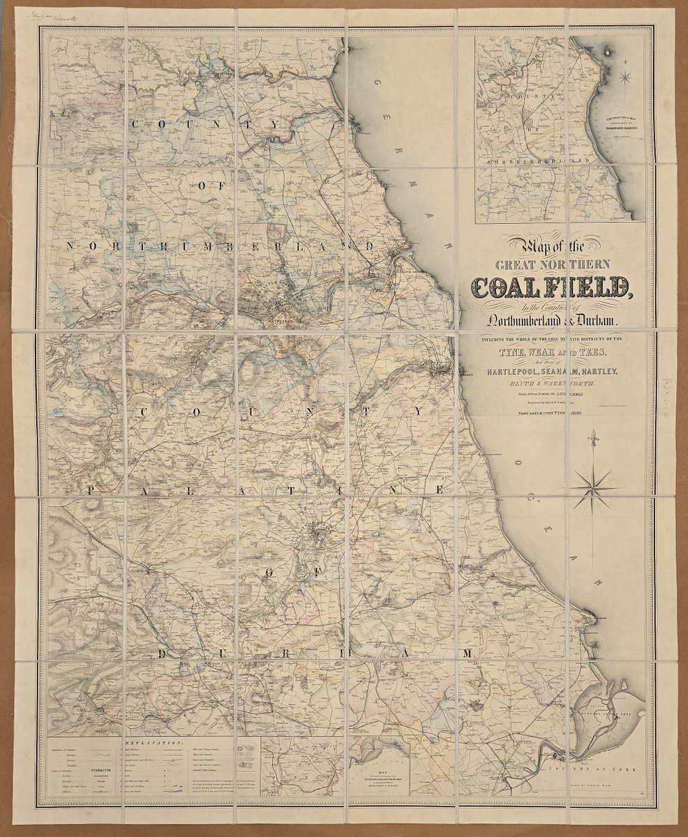 Nick Millea tweet media