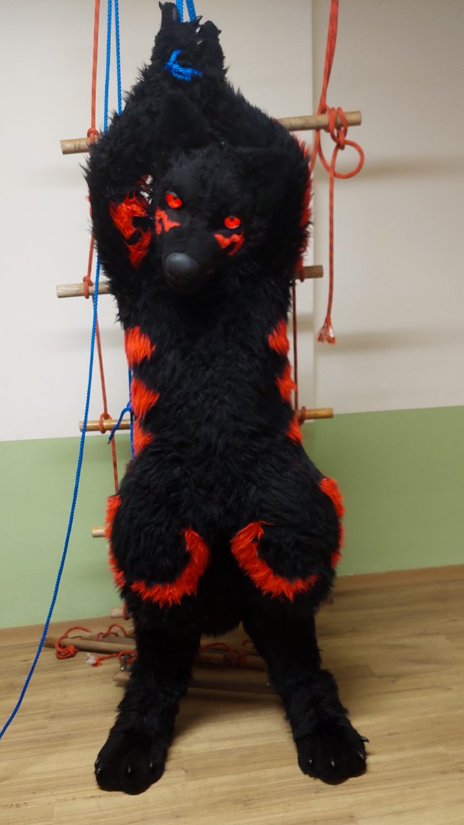 Dumb Dog Mastix tweet media