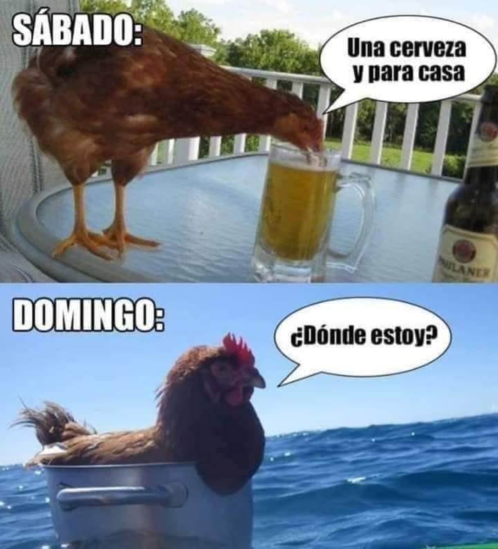 rutaselecta's tweet photo. “La última y nos vamos”. 🤪🍷😂 https://t.co/xjFoDNFFGh