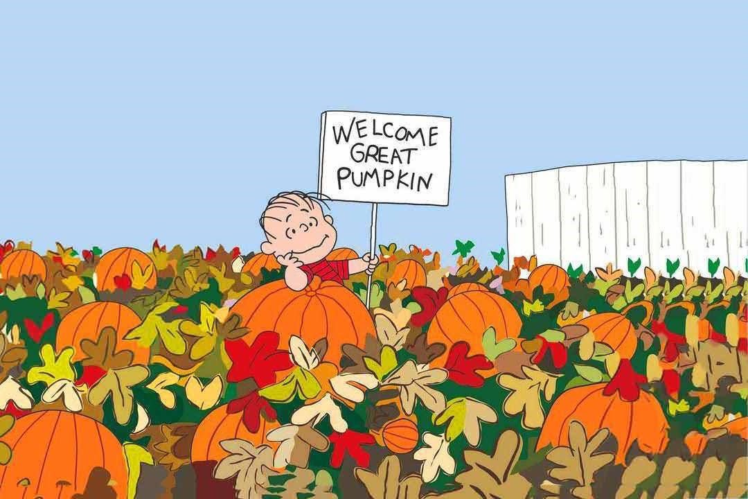 HAPPY OCTOBER 🧡🧡🧡