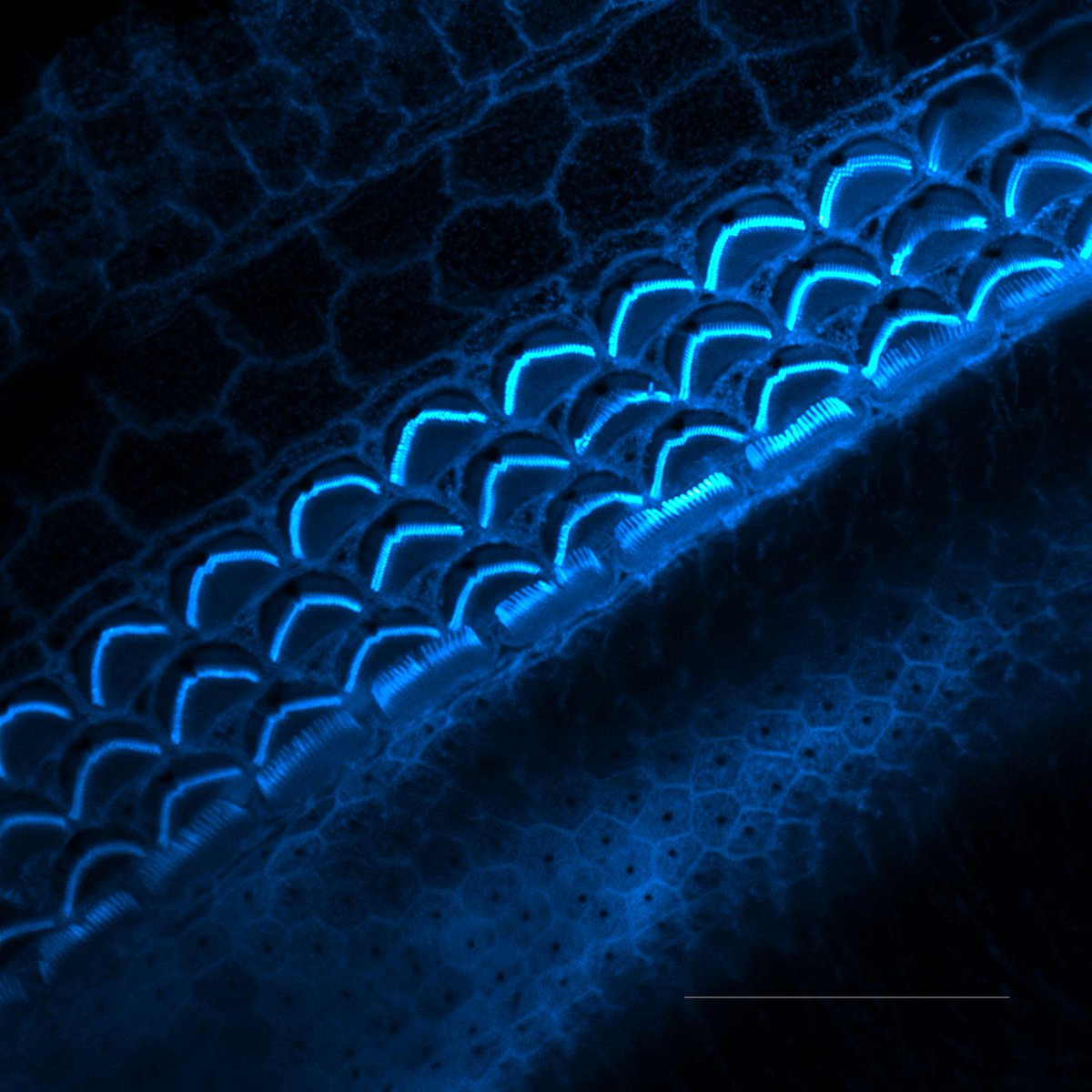 Zoe Mann tweet media