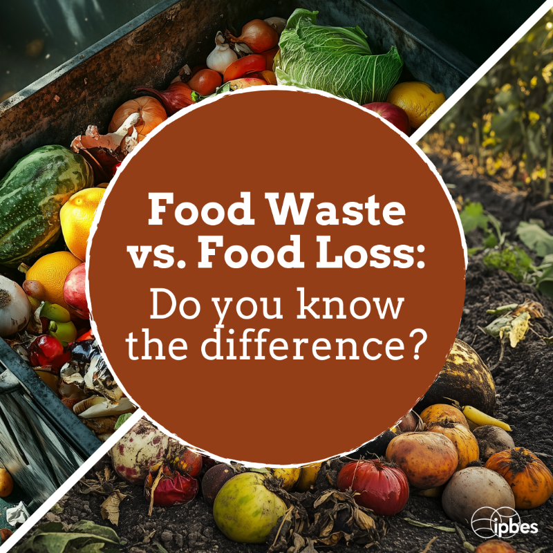 UNBiodiversity's tweet photo. Making more food available can be achieved through several complementary measures including reducing food waste and food losses.  —

#LandDegradation and #Restoration Report🍎 

Learn more 👇
https://t.co/QoBzxaS9aT

via @IPBES https://t.co/mwkYcDYOzS