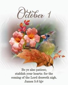 Shelly Ann (@saasepatriot) on Twitter photo 