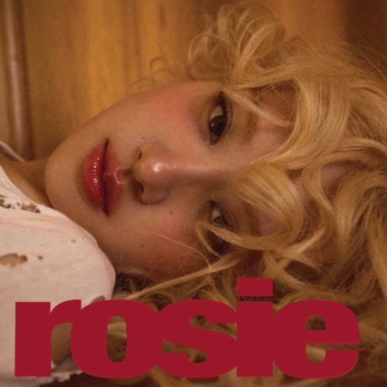 StreamingRose's tweet image. our beautiful ROSÉ's first full length solo album #rosie will be released on December 6th! it inlcudes 12 tracks in total 

pre-order now: rosesarerosie.lnk.to/rosie

ROSIE ALBUM ON DECEMBER 
#ROSÉNewAlbum #ROSÉ