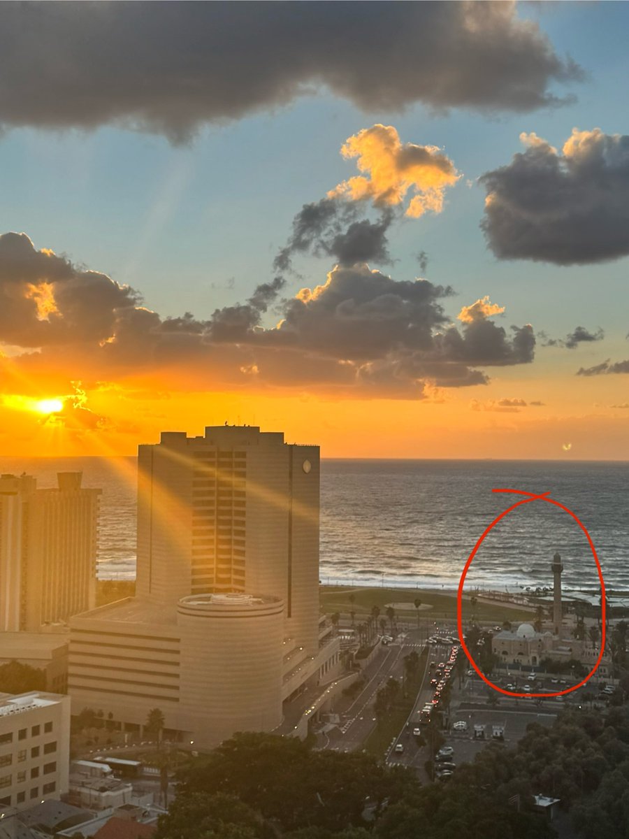 Yael Bar tur tweet media