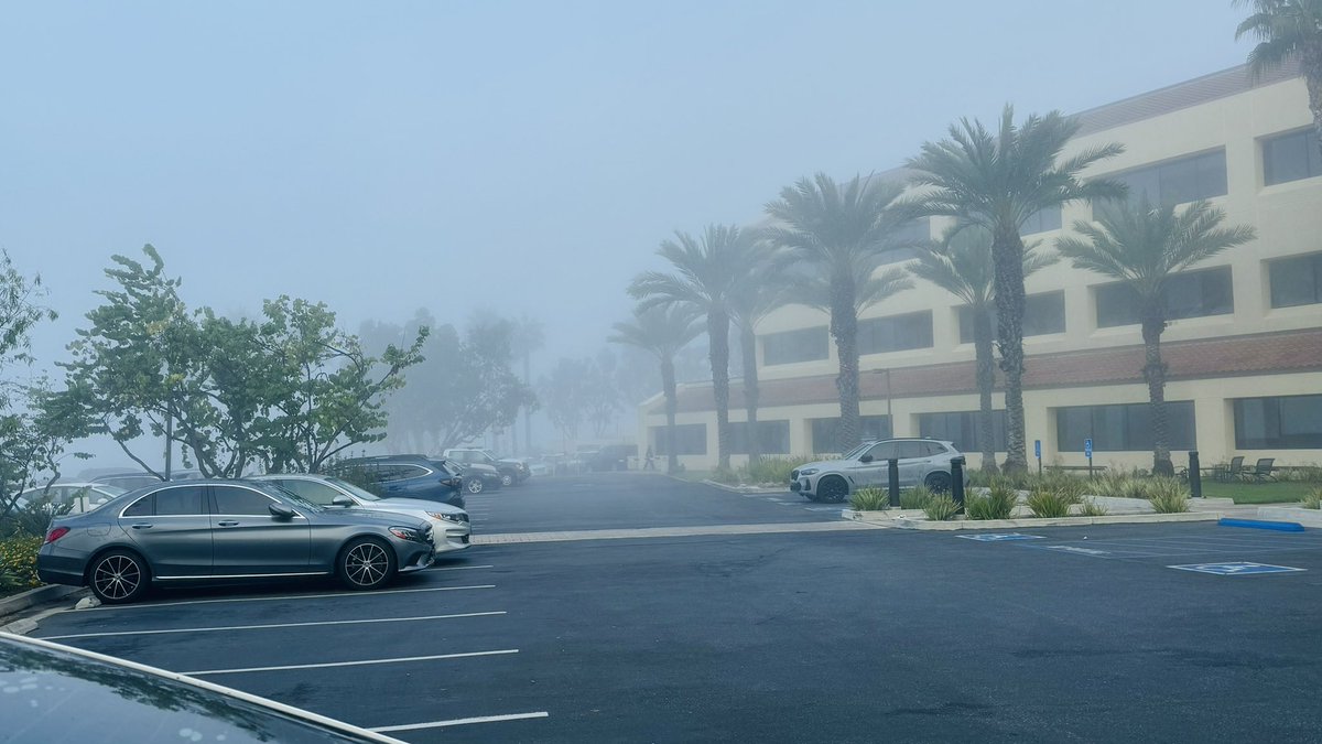 green_seashells's tweet photo. This morning – in Malibu. It’s 8:15 AM and yet the visibility is quite poor. It is as if the clouds have come down to earth to visit us #Malibu #Fog #LosAngeles #clouds https://t.co/Ma5GpYbweg