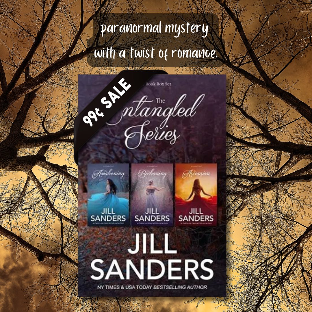 Jill Sanders tweet media