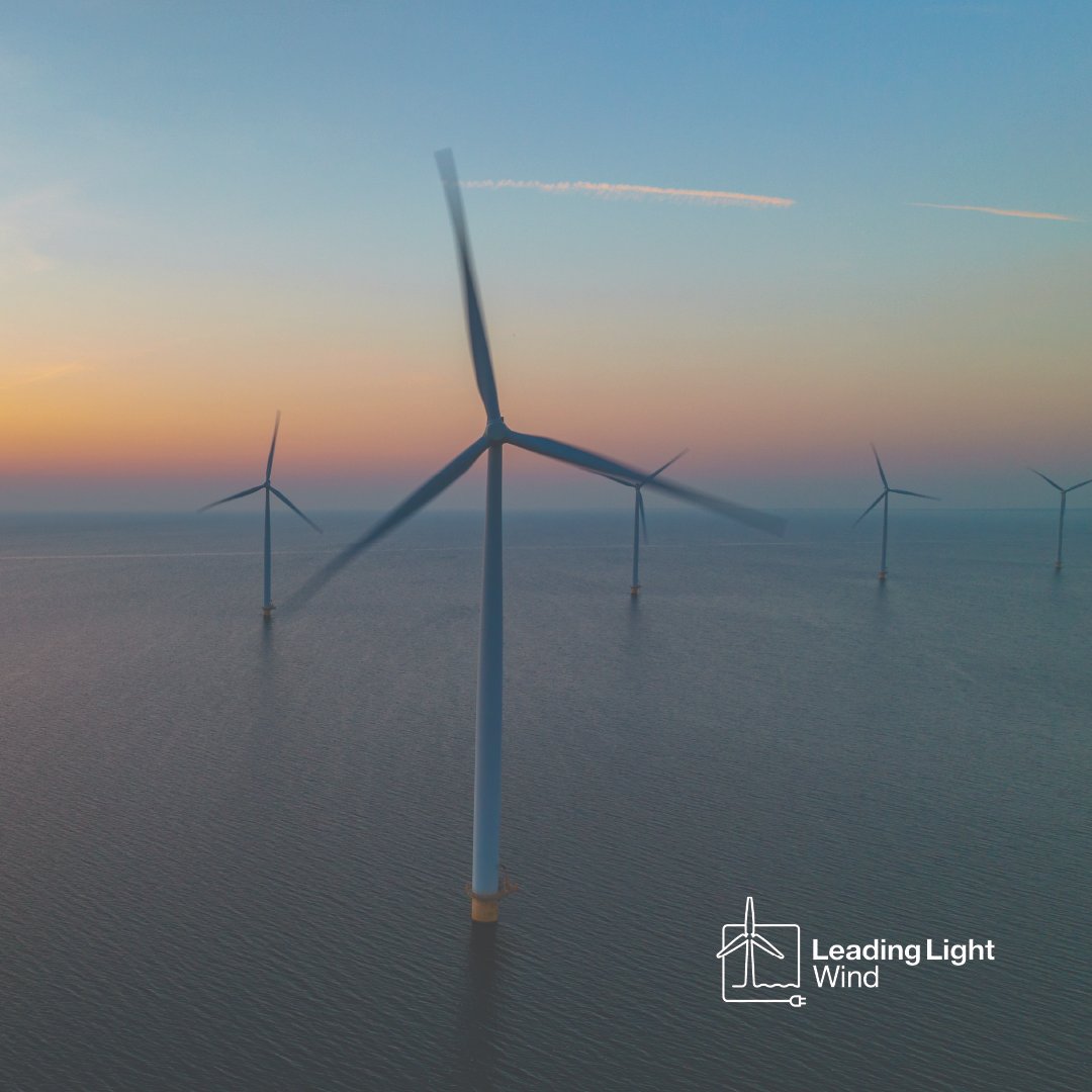 Leading Light Wind tweet media