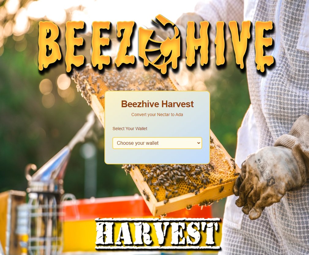 BeezHive 🐝🍯 tweet media