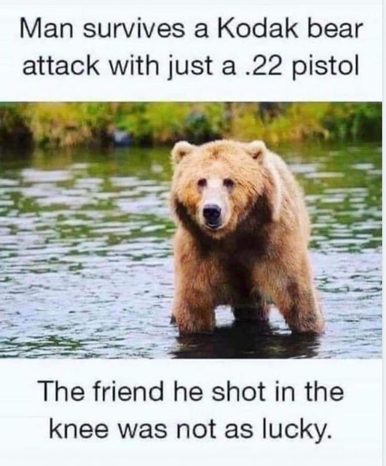 Kelley🇺🇲Lee tweet media