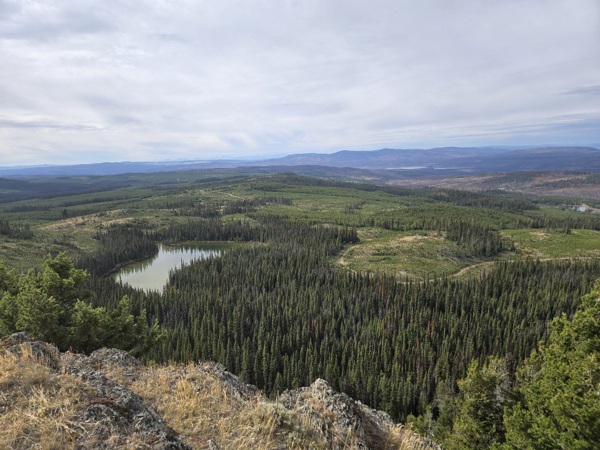 liquidwinter2's tweet image. Top of the world