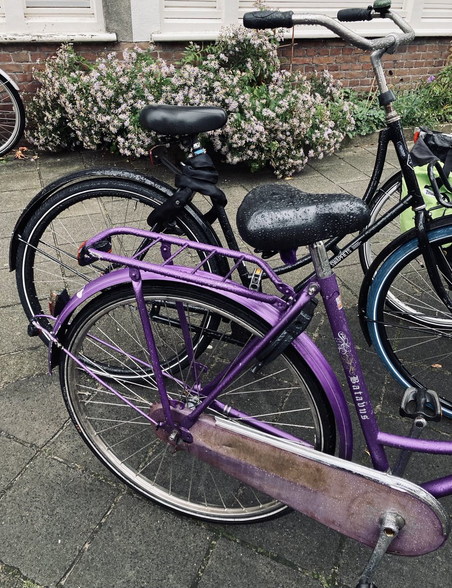 ⁦<a href="/gothbookdragon/">Goth Book Dragon</a>⁩ 
…and then I go walking where purple and black is a theme today!😉😘