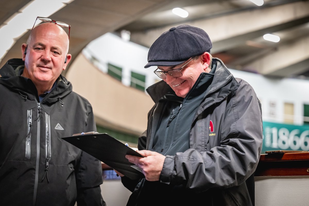 Goffs1866's tweet photo. .@richryanracing snaps up @LodgeParkStud’s Lot 119, a colt by @BallylinchStud’s New Bay out of the Stakes placed Bongiorno for €390,000 at #GoffsOrby https://t.co/E9IeyVPP5w