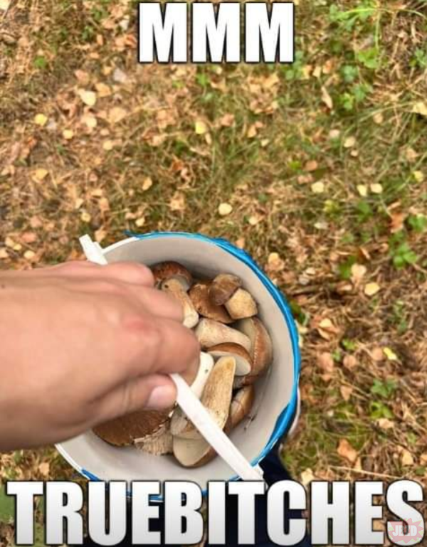 Mikołaj Kędzierski 🇪🇺 🏳️‍🌈 Fułkomania Era 🛷 (@ajkedzierski) on Twitter photo 