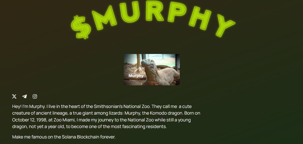 Google tweet media