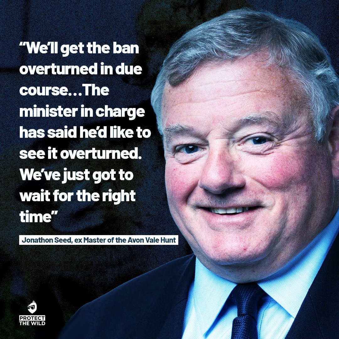 ProtectTheWild_'s tweet photo. Not on our watch! He’d hate if you reposted this and signed the petition for a strong law against fox hunting:

https://t.co/DsoK2CdZQE https://t.co/TR4fiSz1mz