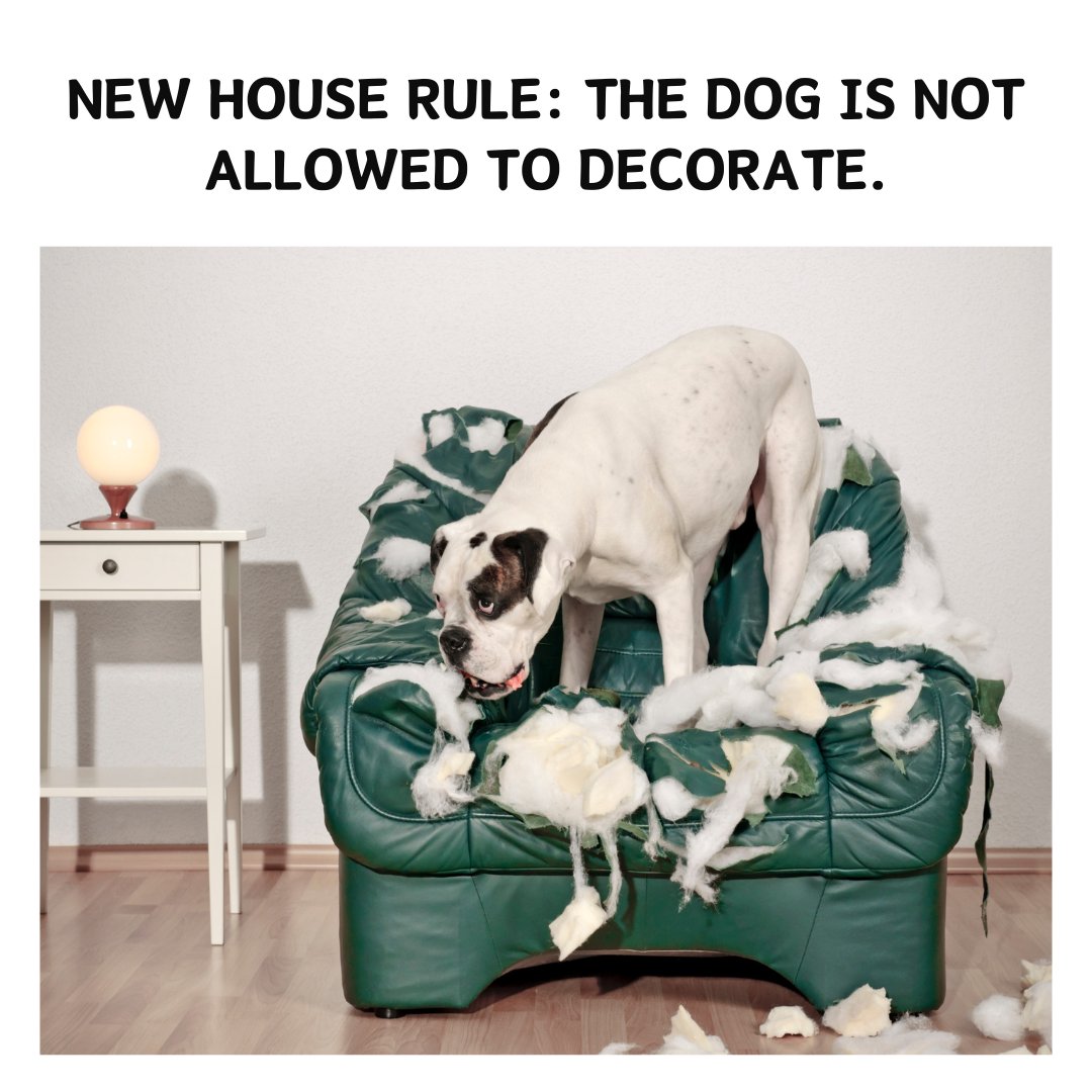 VinnieSD's tweet image. #memeoftheweek